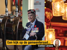 Een persoonlijke kijk op de gemeenteraad Evelien Lievens (nov '20)