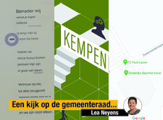 Een persoonlijke kijk op de gemeenteraad Lea Neyens