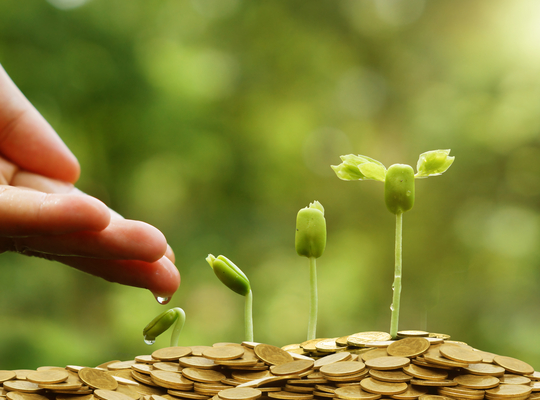 Financiele groei Financiele groei