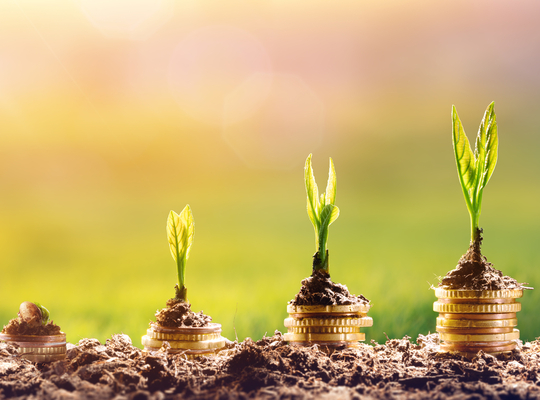 Geld planten groeien Geld planten groeien