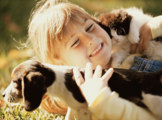 Kind met hond en kat