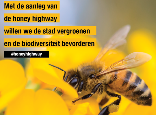 Geelse Honey Highway - visual Geelse Honey Highway - visual