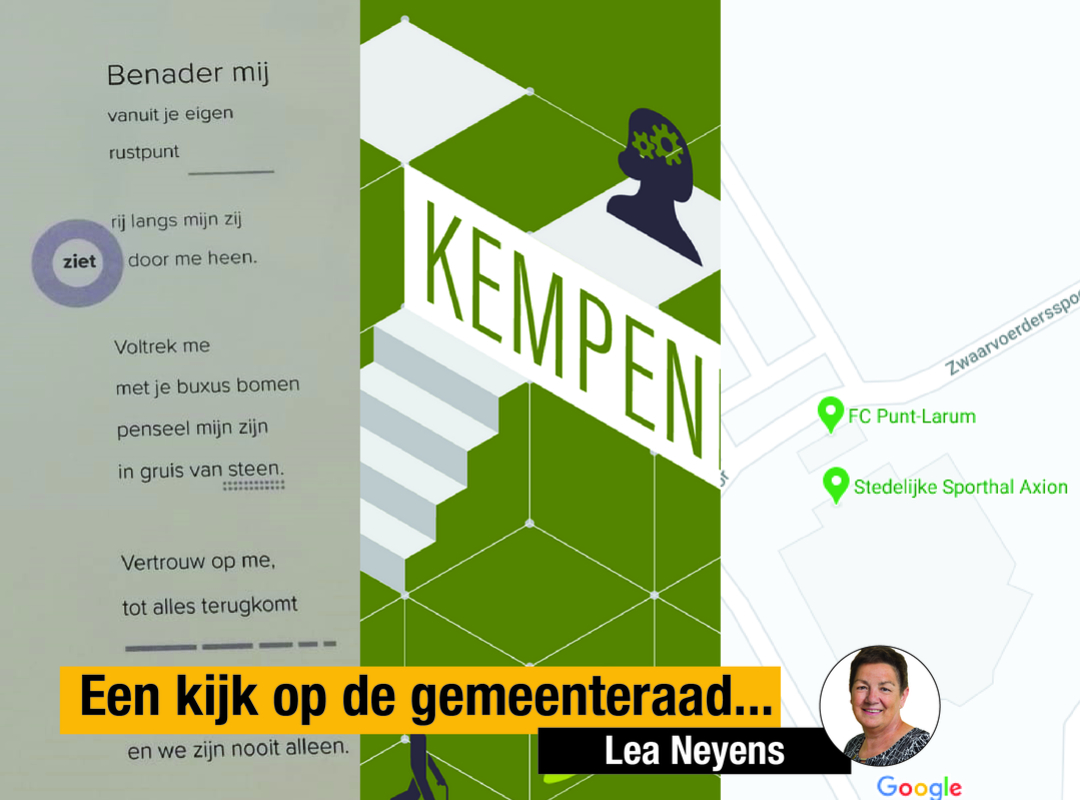 Een persoonlijke kijk op de gemeenteraad Lea Neyens