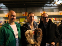 2e geelse dierendag